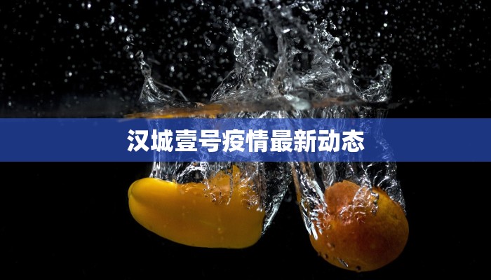 汉城壹号疫情最新动态