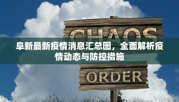 阜新最新疫情消息汇总图，全面解析疫情动态与防控措施