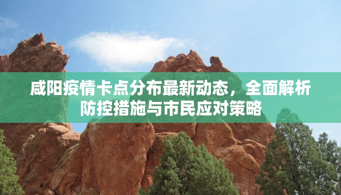 咸阳疫情卡点分布最新动态，全面解析防控措施与市民应对策略