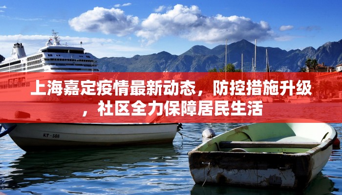上海嘉定疫情最新动态，防控措施升级，社区全力保障居民生活