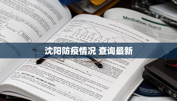 沈阳防疫情况 查询最新