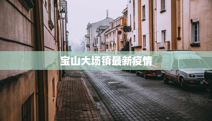宝山大场镇最新疫情