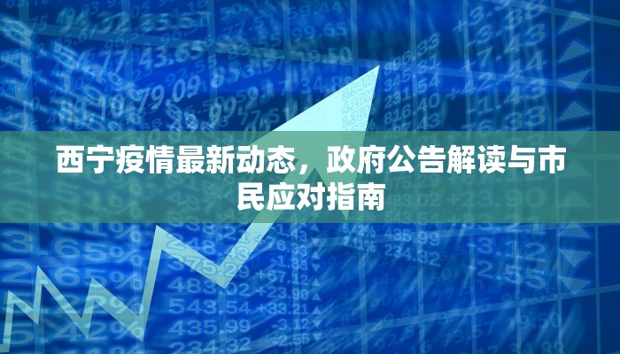 西宁疫情最新动态，政府公告解读与市民应对指南