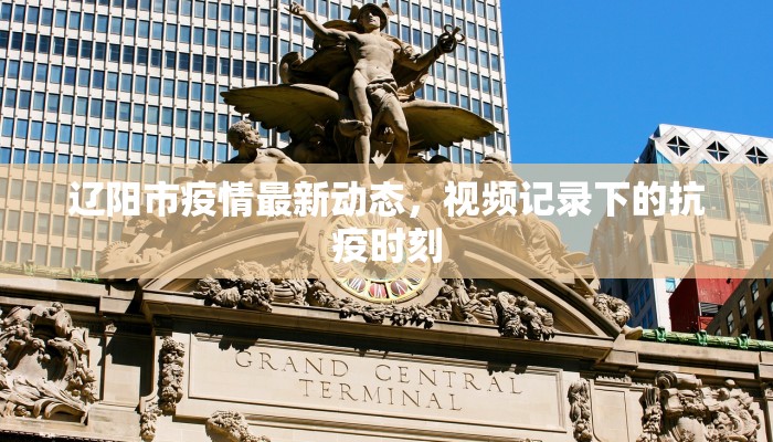 辽阳市疫情最新动态，视频记录下的抗疫时刻