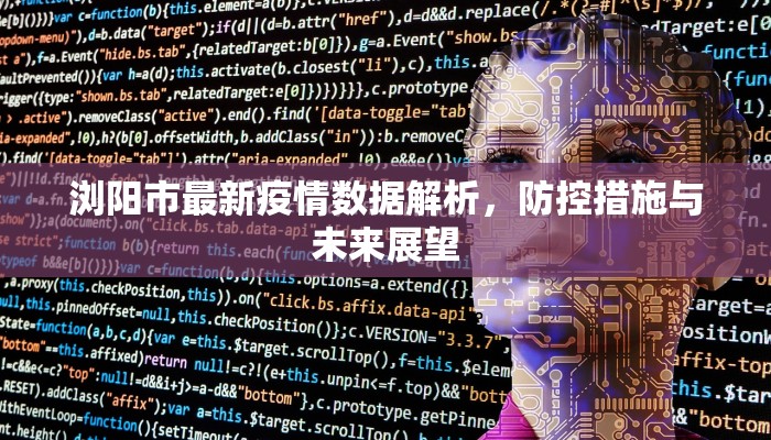 浏阳市最新疫情数据解析，防控措施与未来展望