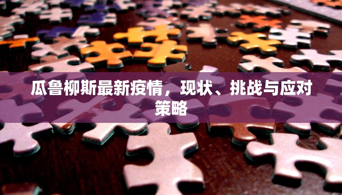 瓜鲁柳斯最新疫情，现状、挑战与应对策略