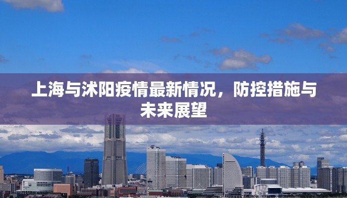上海与沭阳疫情最新情况，防控措施与未来展望