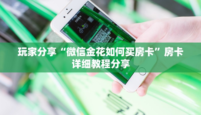 厦漳轮渡疫情最新通知，防控措施升级，出行需谨慎