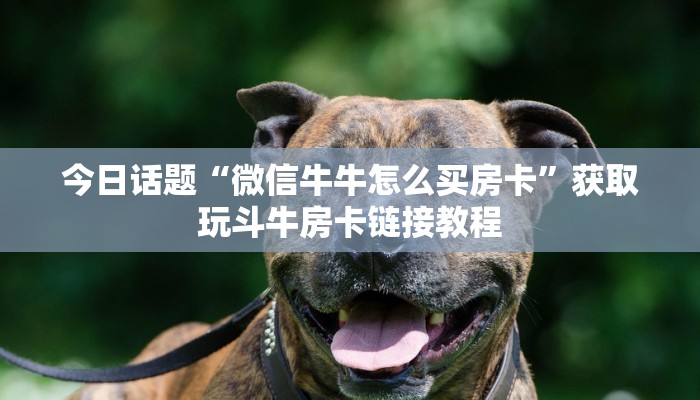 临沂去西安最新疫情政策及出行指南（2023年更新）