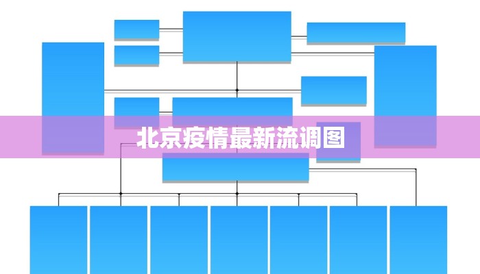 北京疫情最新流调图