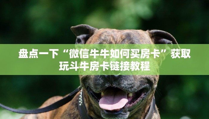 盘点一下“微信牛牛如何买房卡”获取玩斗牛房卡链接教程