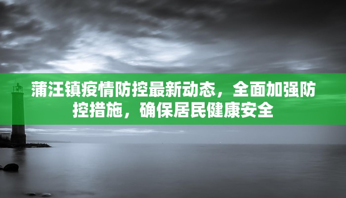 蒲汪镇疫情防控最新动态，全面加强防控措施，确保居民健康安全