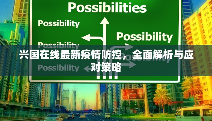 兴国在线最新疫情防控，全面解析与应对策略