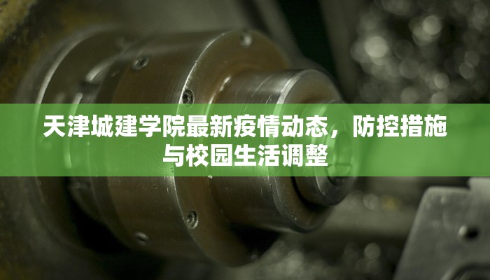 天津城建学院最新疫情动态，防控措施与校园生活调整