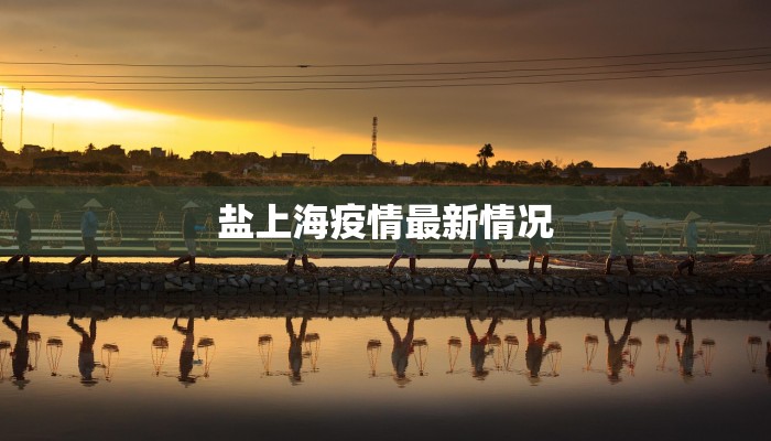 盐上海疫情最新情况
