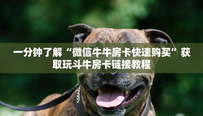 一分钟了解“微信牛牛房卡快速购买”获取玩斗牛房卡链接教程
