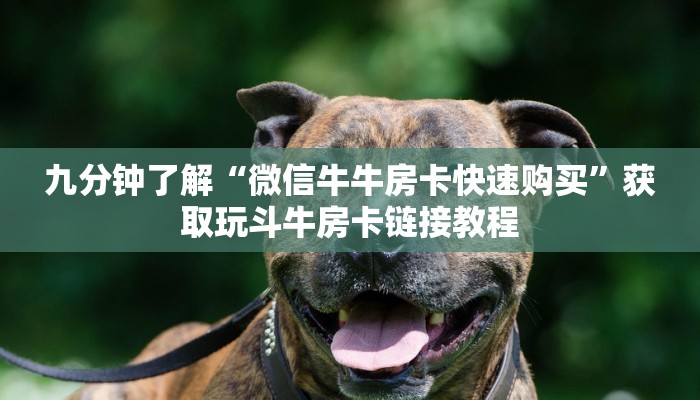 即墨区疫情最新通告公布，防控措施升级，市民需加强防护