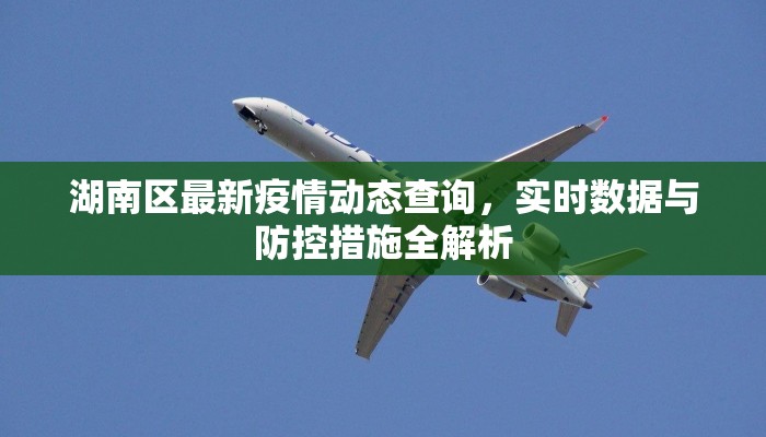 湖南区最新疫情动态查询，实时数据与防控措施全解析