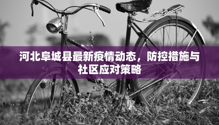 河北阜城县最新疫情动态，防控措施与社区应对策略