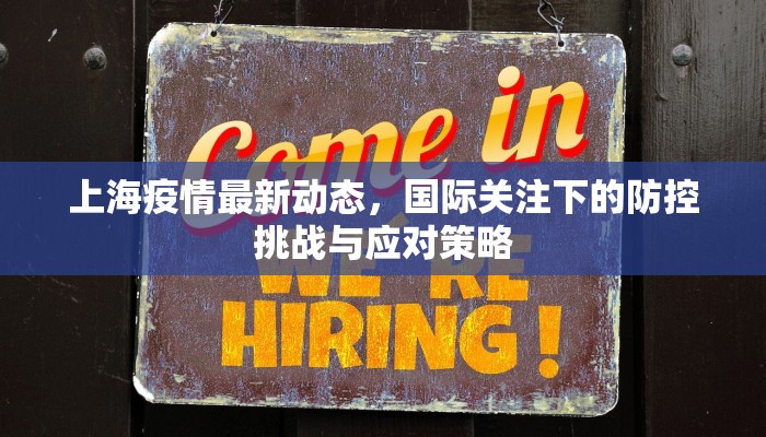 上海到新乡最新疫情政策，出行要求、隔离规定及防疫指南（2023年更新）