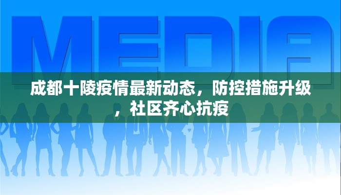 成都十陵疫情最新动态，防控措施升级，社区齐心抗疫