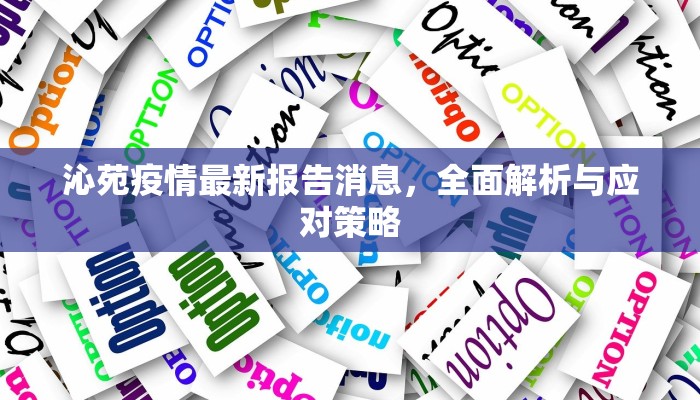 沁苑疫情最新报告消息，全面解析与应对策略