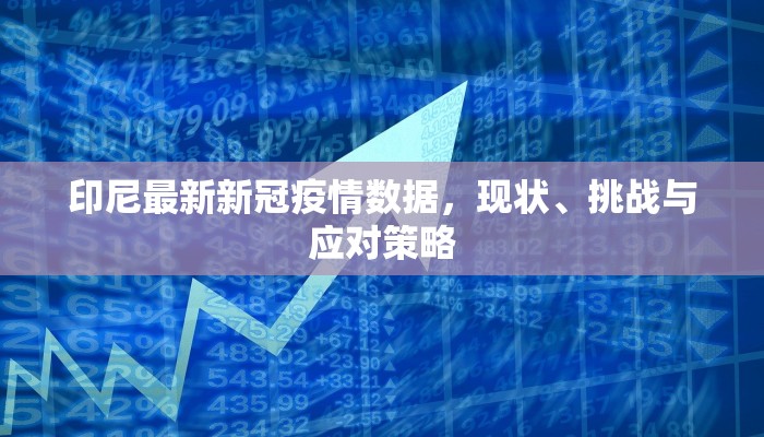 印尼最新新冠疫情数据，现状、挑战与应对策略