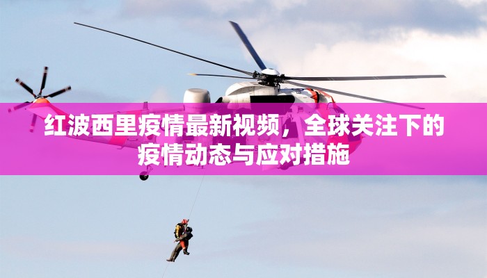 红波西里疫情最新视频，全球关注下的疫情动态与应对措施