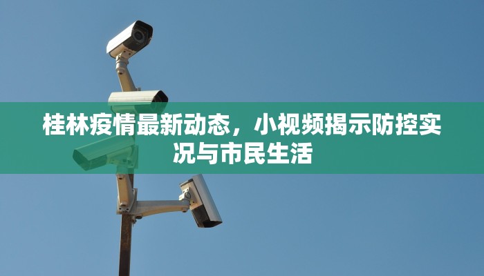 桂林疫情最新动态，小视频揭示防控实况与市民生活
