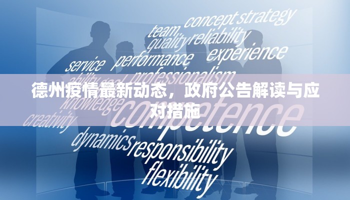 德州疫情最新动态，政府公告解读与应对措施