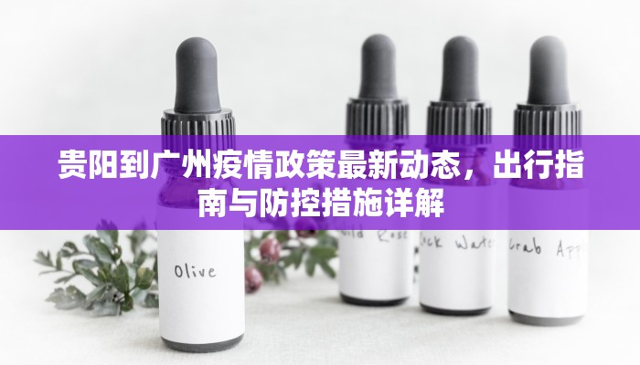 贵阳到广州疫情政策最新动态，出行指南与防控措施详解