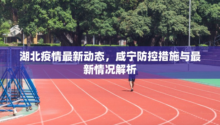 湖北疫情最新动态，咸宁防控措施与最新情况解析