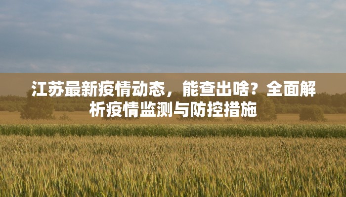 江苏最新疫情动态，能查出啥？全面解析疫情监测与防控措施