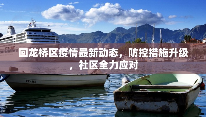 回龙桥区疫情最新动态，防控措施升级，社区全力应对