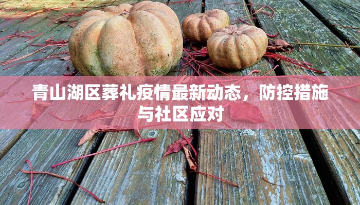 青山湖区葬礼疫情最新动态，防控措施与社区应对