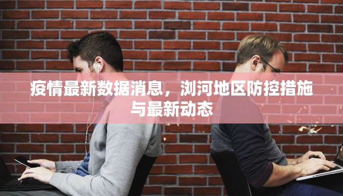 疫情最新数据消息，浏河地区防控措施与最新动态