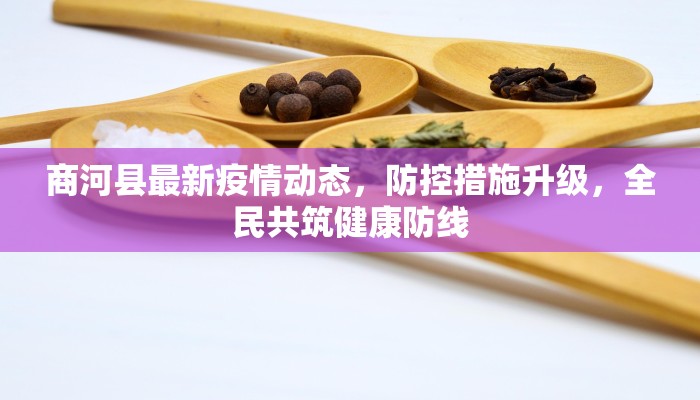 商河县最新疫情动态，防控措施升级，全民共筑健康防线