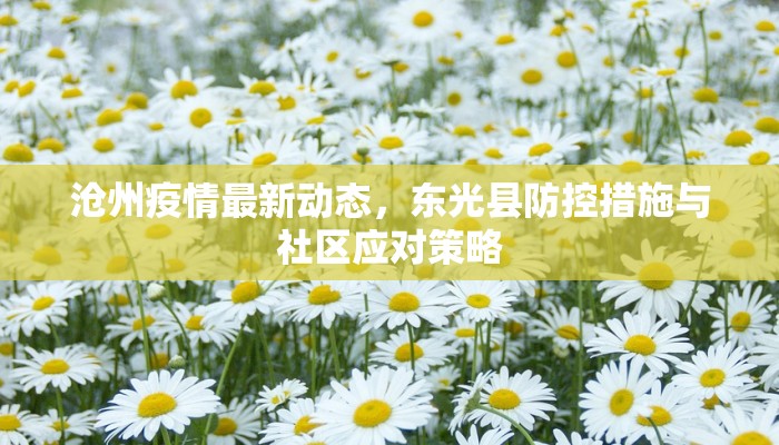 沧州疫情最新动态，东光县防控措施与社区应对策略