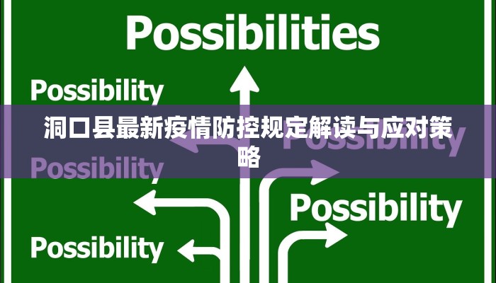 洞口县最新疫情防控规定解读与应对策略