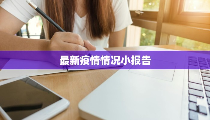 最新疫情情况小报告