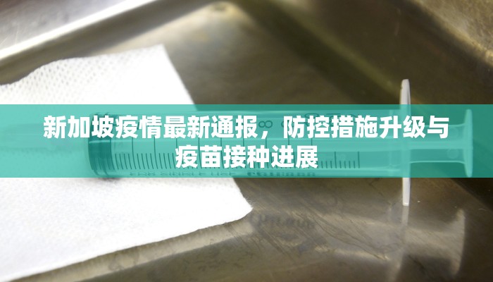 新加坡疫情最新通报，防控措施升级与疫苗接种进展