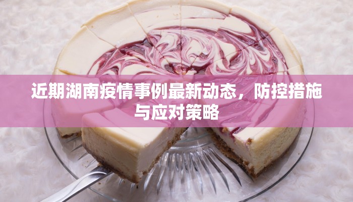 近期湖南疫情事例最新动态，防控措施与应对策略