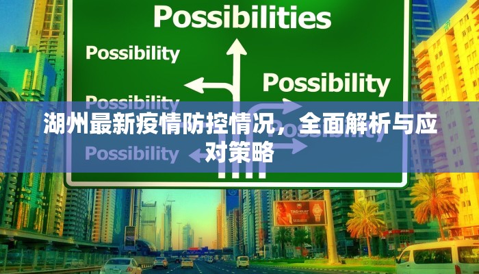 湖州最新疫情防控情况，全面解析与应对策略