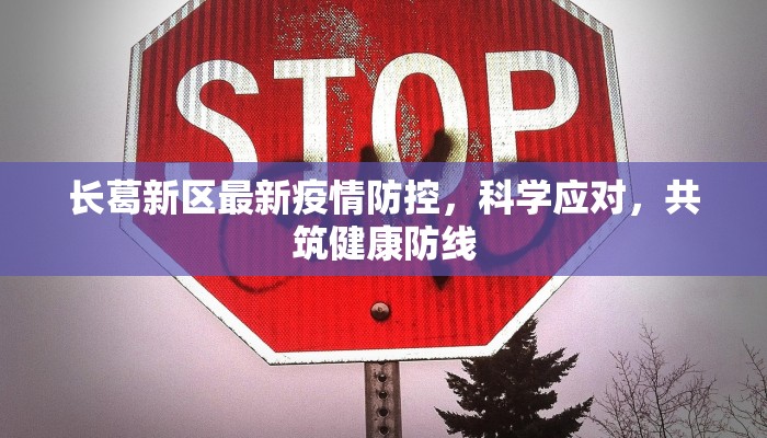 长葛新区最新疫情防控，科学应对，共筑健康防线