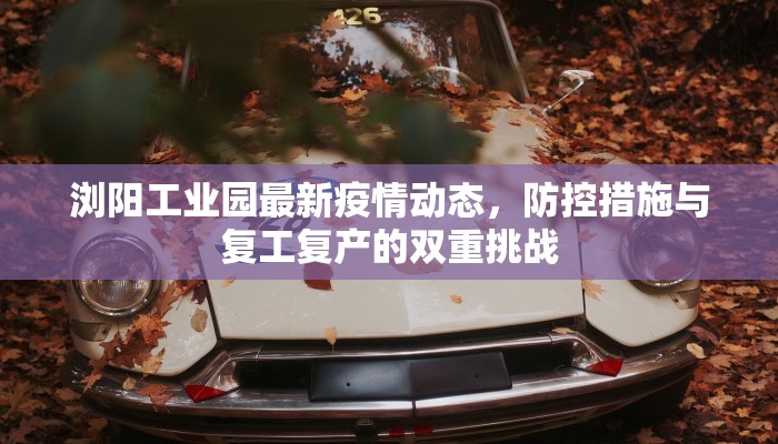 保定疫情最新通报，今日新增病例及防控措施详解