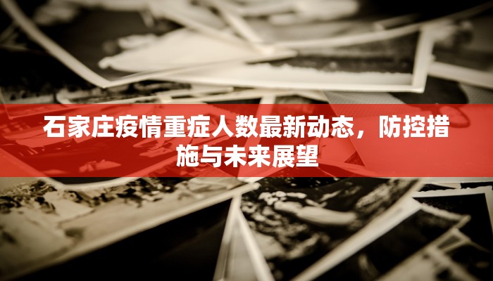 石家庄疫情重症人数最新动态，防控措施与未来展望