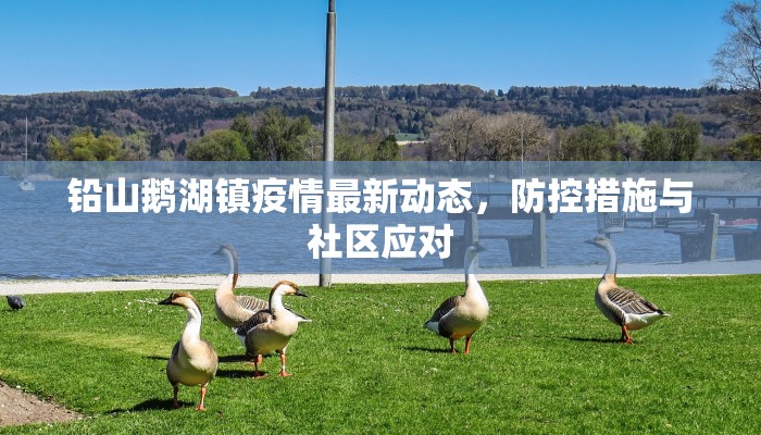铅山鹅湖镇疫情最新动态，防控措施与社区应对