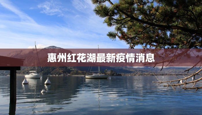 惠州红花湖最新疫情消息