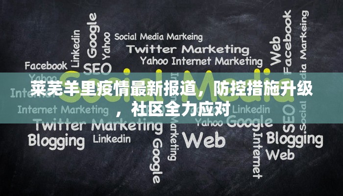 莱芜羊里疫情最新报道，防控措施升级，社区全力应对