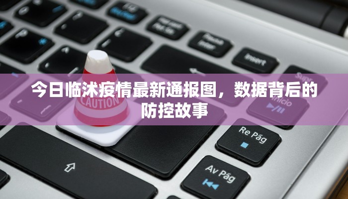 今日临沭疫情最新通报图，数据背后的防控故事